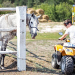 Ako vám štvorkolka uľahčí letné práce na farme?