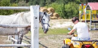 Ako vám štvorkolka uľahčí letné práce na farme?